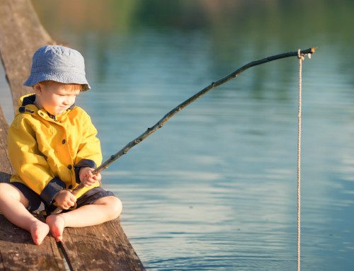 Summer in Washtenaw County: Your Guide to Local Fun
