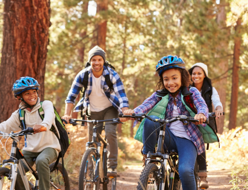 Fall Fun in Ann Arbor & Ypsilanti: Your Guide to the Season